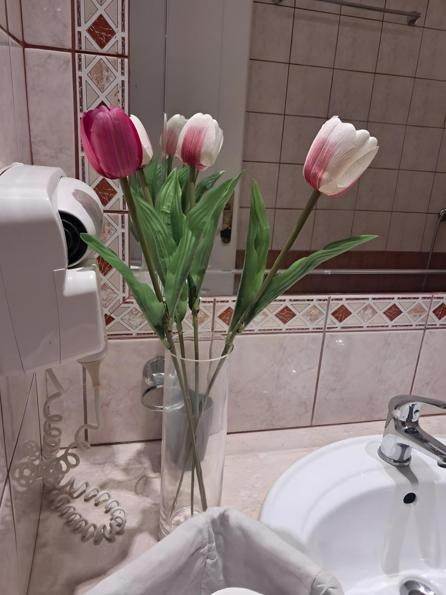 Apartment Spyridoula 10 *